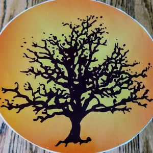 Meet your Posher, Royal oak